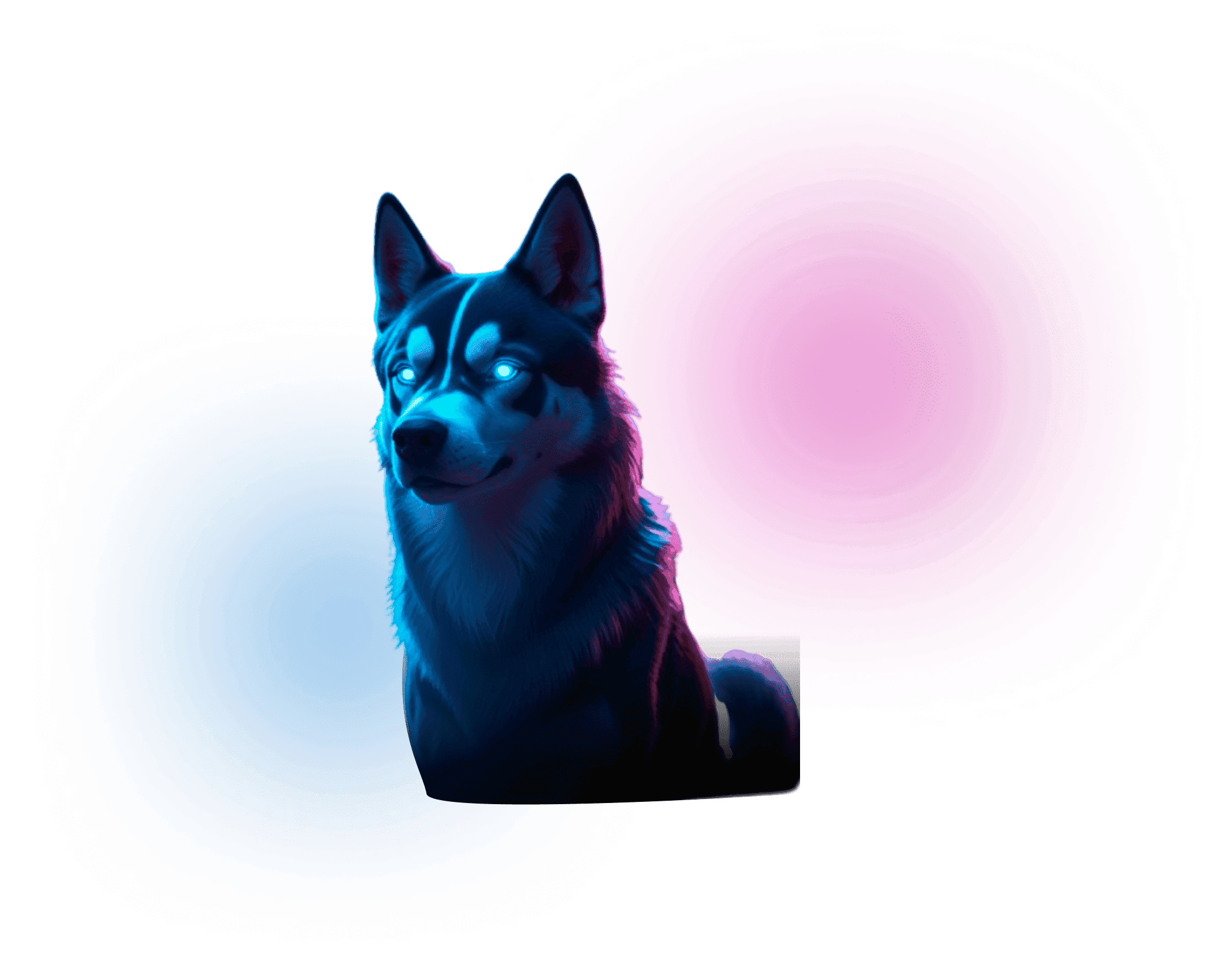 Apolo tech sob luzes azul e roxa